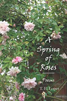 A Spring of Roses